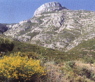 Le Garlaban - massif montagneux qui embrasse Marseille et domine Aubagne de toute sa splendeur.