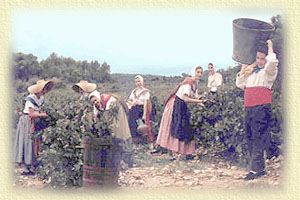 Les vendanges