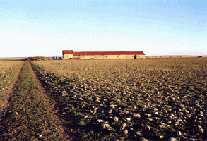 Crau signifie Terre pierreuse