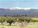 Le Mont-Ventoux  (1912m)